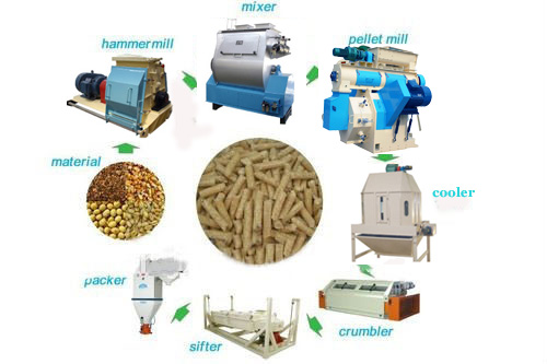 cattle feed pellets processing