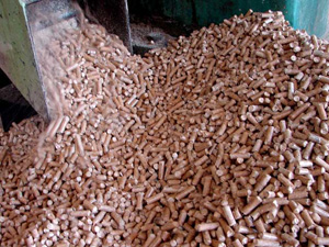 cattle feed pellets